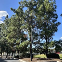 Knob Hill Park - Street View