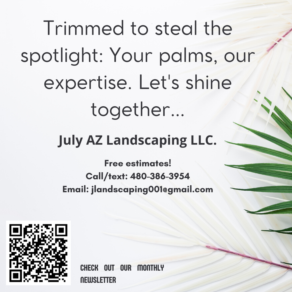 July AZ Landscaping - tree service in Mesa, AZ