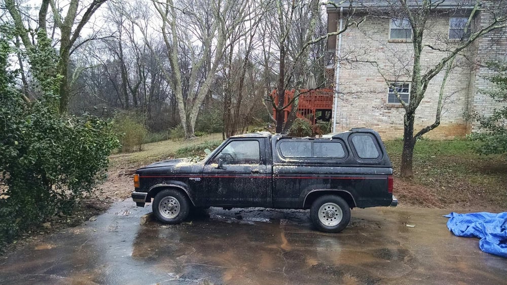 King's Tree Works - tree service in Knoxville, TN