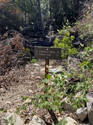 Roaring River Falls by null