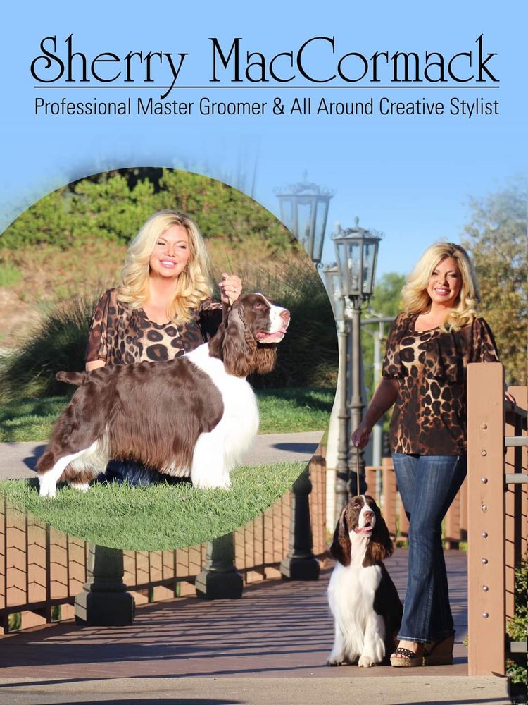 PRETTY PET PARLOR Updated September 2024 27 Photos Palmdale