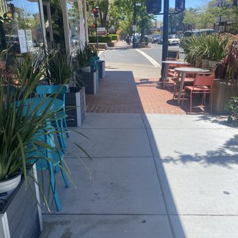 Pink Owl Coffee - Plenty outside seating - Coffee & Tea Near Me - San Rafael, California
