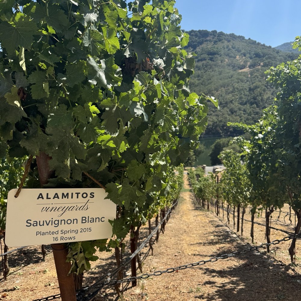Alamitos Vineyards - Wine Tasting Room Near Me - San Jose, California