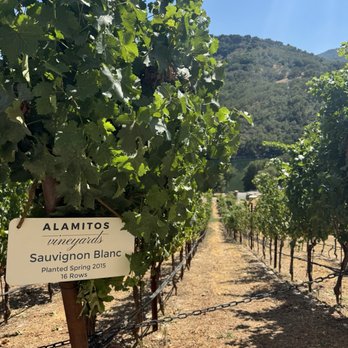 Alamitos Vineyards - Wine Tasting Room Near Me - San Jose, California
