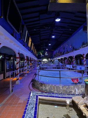 Key West Aquarium by null