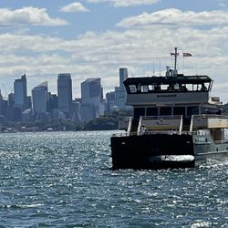 Watsons Bay - Ferry arriving