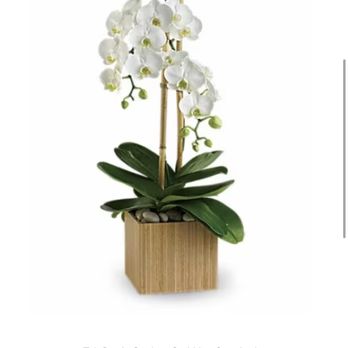 Canoga Park Florist - What I ordered - Florists Near Me - Canoga Park, California Canoga Park Florist - What I ordered - Florists Near Me - Canoga Park, California