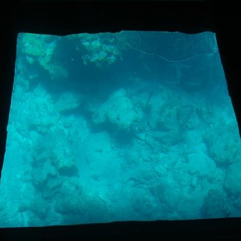 Key Largo Princess Glass Bottom Boat - reef from the glass bottom boat - Boating Near Me - Key Largo, Florida Key Largo Princess Glass Bottom Boat - reef from the glass bottom boat - Boating Near Me - Key Largo, Florida