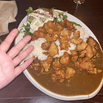 Cafe on the Ave - Curry Rice with Chicken Karaage (hand for proportion) - Coffee & Tea Near Me - Seattle, Washington Cafe on the Ave - Curry Rice with Chicken Karaage (hand for proportion) - Coffee & Tea Near Me - Seattle, Washington
