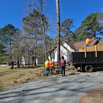 CBC Tree Services Inc - Tree Services Near Me