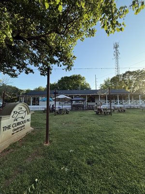 The Curious Pig by null