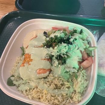 Gyroscope - Bowl w Roasted Salmon Plate - Greek Near Me - Boston, Massachusetts