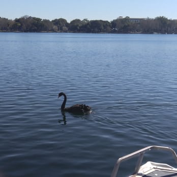 Lake Eola Park - Parks Near Me - Orlando, Florida