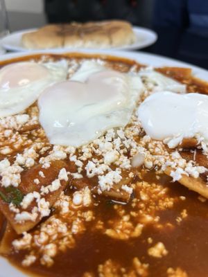 Guajillo Restaurant by null