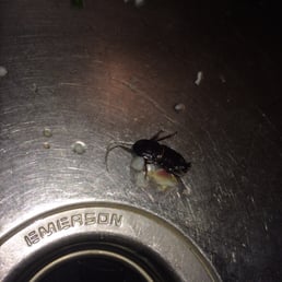 this is what you get when you live in these apartments and the management doesn't do anything to help! this is what you get when you live in these apartments and the management doesn't do anything to help!