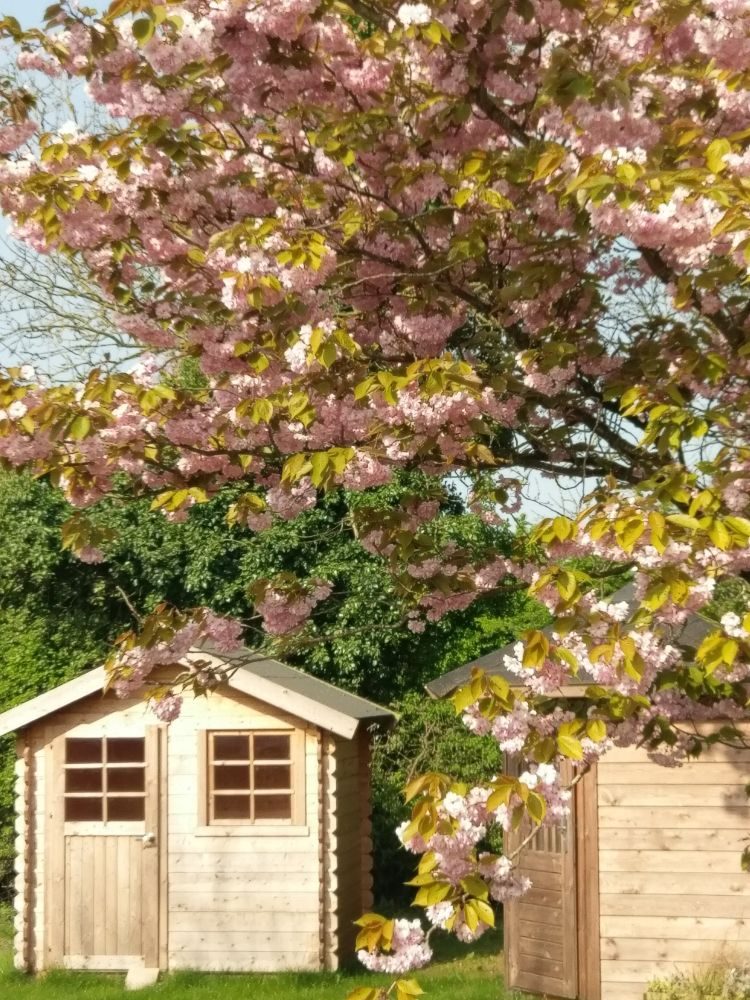WOODMEADOW GARDEN CENTRE Kettering Road, Northampton, United Kingdom