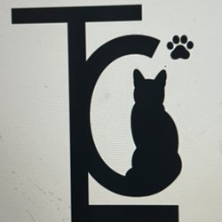 The Lost Cats