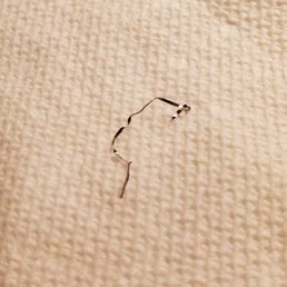 Strand of metal found in my food!