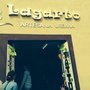 Photo of Lagarto