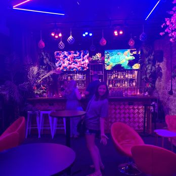 Sacred Palm - Inside! - Speakeasies Near Me - Columbus, Ohio