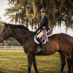 Hasenbeck Equestrian 