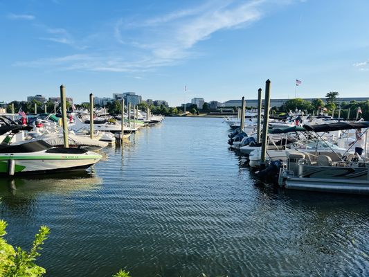 Adventures Unbound: Columbia Island Marina by null