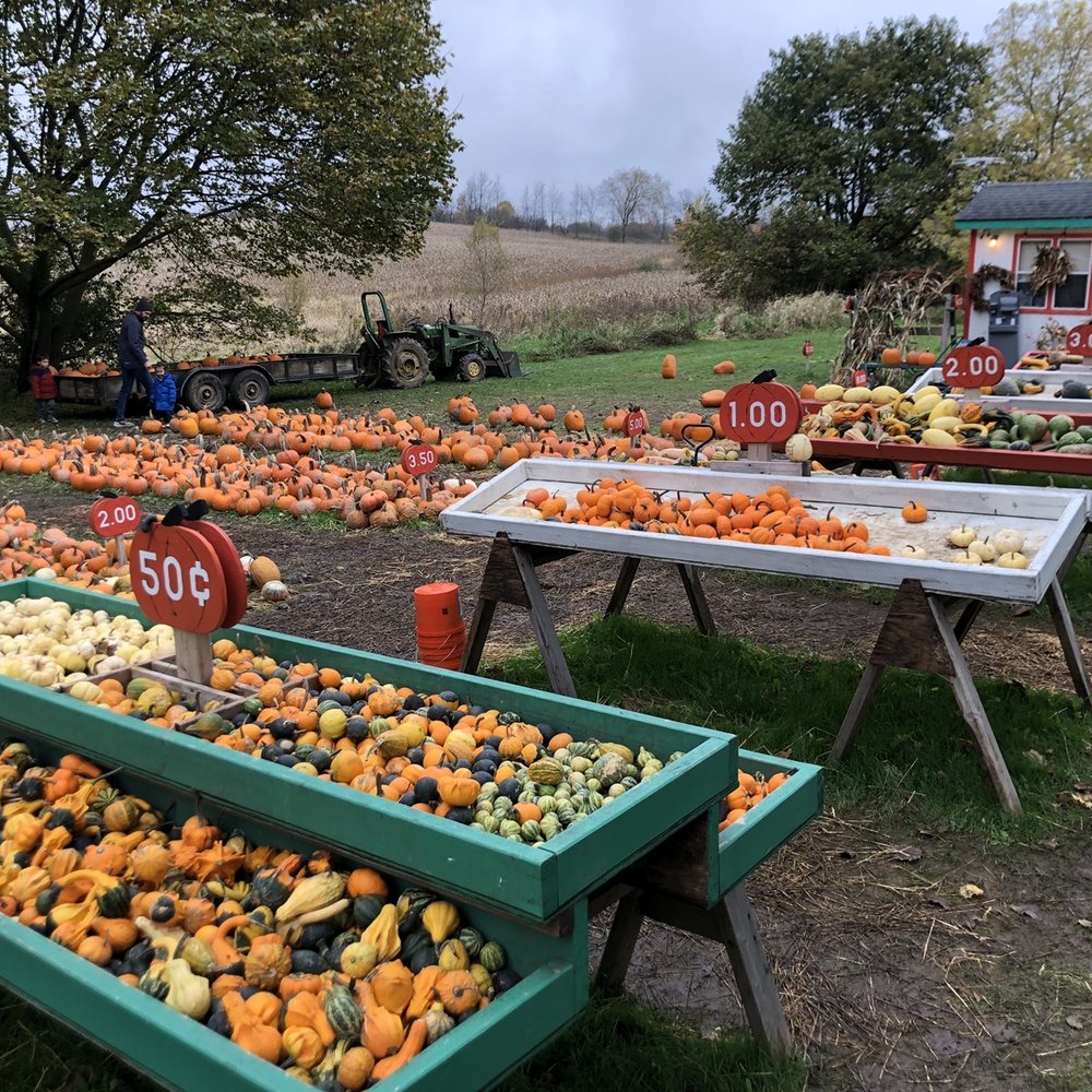 Wells Pumpkin Farm - Getting some last minute pumpkins to lure in a trick-or-treater or two tomorrow. - Pumpkin Patches Near Me - Ann Arbor, Michigan Wells Pumpkin Farm - Getting some last minute pumpkins to lure in a trick-or-treater or two tomorrow. - Pumpkin Patches Near Me - Ann Arbor, Michigan