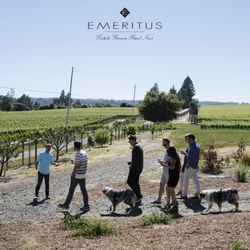 Emeritus Vineyards - Guests heading out on our vineyard tour
