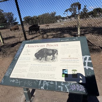 Bison Paddock - Description of the American Bison - Parks Near Me - San Francisco, California