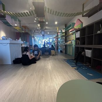 Cat Cafe Meows Rakuen - Photo of the layout - Cafes Near Me - Gardena, California