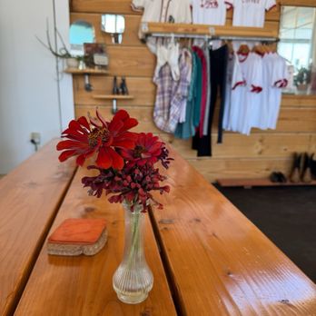 Coyote Coffee - Coffee & Tea Near Me - Marfa, Texas Coyote Coffee - Coffee & Tea Near Me - Marfa, Texas
