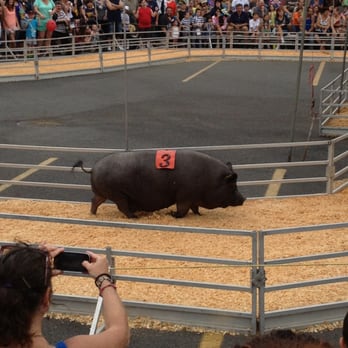 State Fair Meadowlands - Who wants bacon? - Festivals Near Me - East Rutherford, New Jersey State Fair Meadowlands - Who wants bacon? - Festivals Near Me - East Rutherford, New Jersey