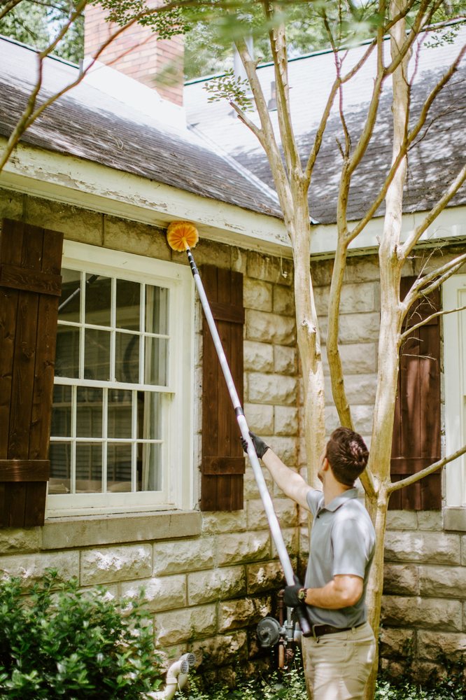 TRI STAR PEST Powell, Tennessee Pest Control Phone Number Yelp