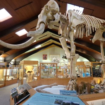 Tate Geological Museum - Museums Near Me - Casper, Wyoming
