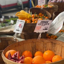Hollywood Farmers' Market - Farmers market citrus