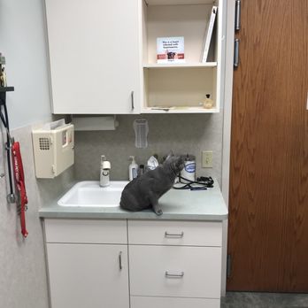Edina Pet Hospital - Veterinarians Near Me - Edina, Minnesota