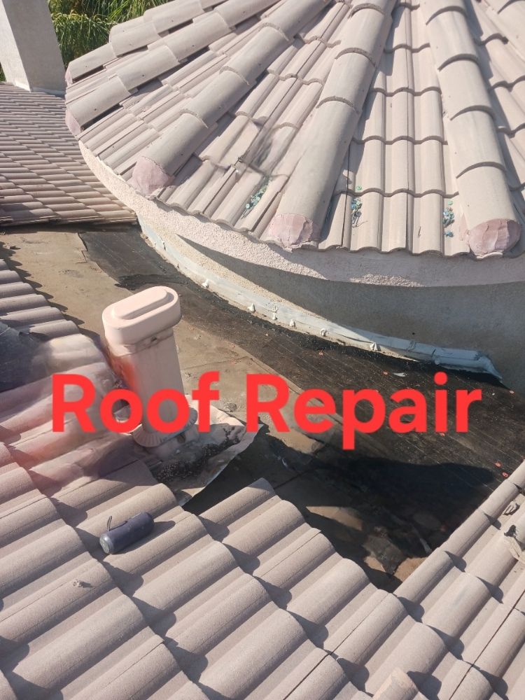 Slide of A-Rod Professional Services