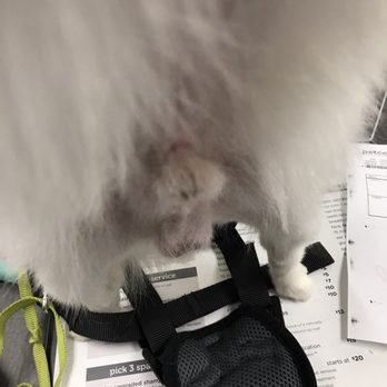 Petco - Pet Stores Near Me - San Bruno, California