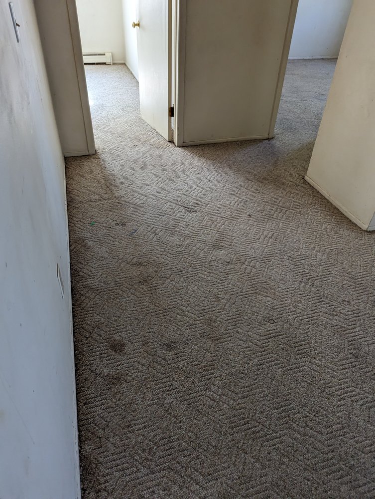 MODERNISTIC Updated August 2024 14 Photos & 11 Reviews 4310 Creyts Rd, Lansing, Michigan