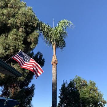 All Access Tree Care - After. - Tree Services Near Me - El Cajon, California