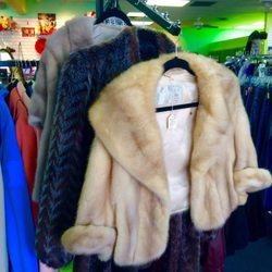 Hospice Thrift Store - 3 minks for sale-2017