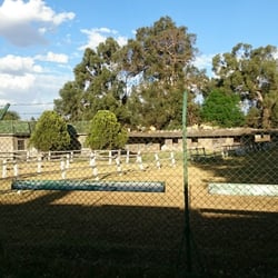Caballerizas Echegaray
