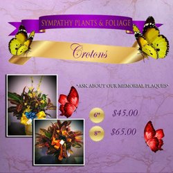 Atlanta's Flower Doctor