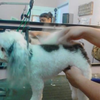 Groomingdales - Pet Groomers Near Me - Weaver, Alabama Groomingdales - Pet Groomers Near Me - Weaver, Alabama