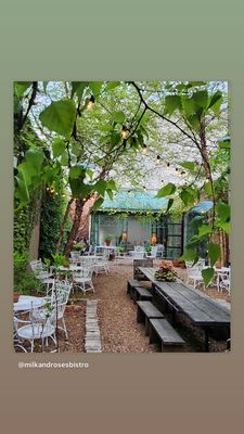 Milk & Roses by null