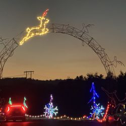 Winter Wonderland Holiday Light Show - Jumping deer