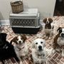 Photo of Kingston Springs Animal Hospital