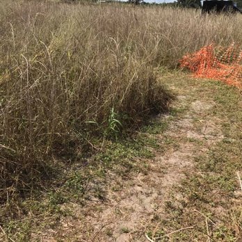Lake Catherine Blueberries - Fruits & Veggies Near Me - Groveland, Florida