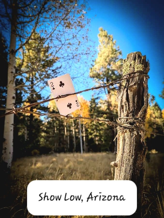 WHITE MOUNTAIN RUSTICS Updated October 2024 1052 E Deuce Of Clubs