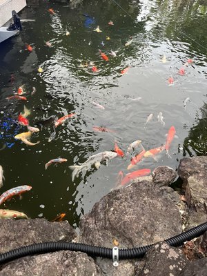 Fukushūen Garden by null